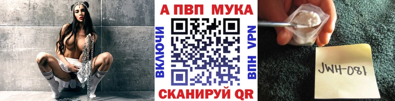 Alfa_PVP СК КРИС  Шенкурск 