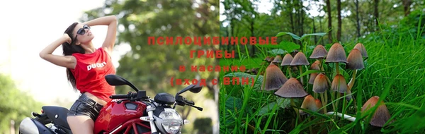 эйфоретик Балабаново