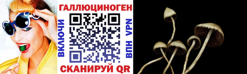 Псилоцибиновые грибы GOLDEN TEACHER купить ссылка на мегу ссылки Шенкурск
